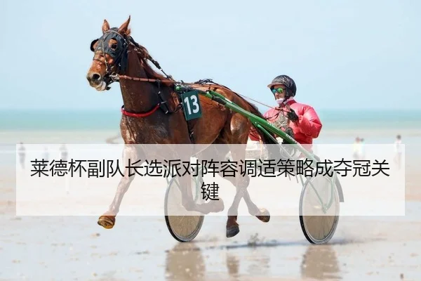 莱德杯副队长选派对阵容调适策略成夺冠关键